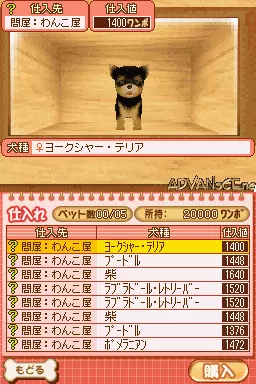 Image n° 3 - screenshots : Machi no Pet-Ya-San DS - 200 Piki Wan-Chan Daishuugou